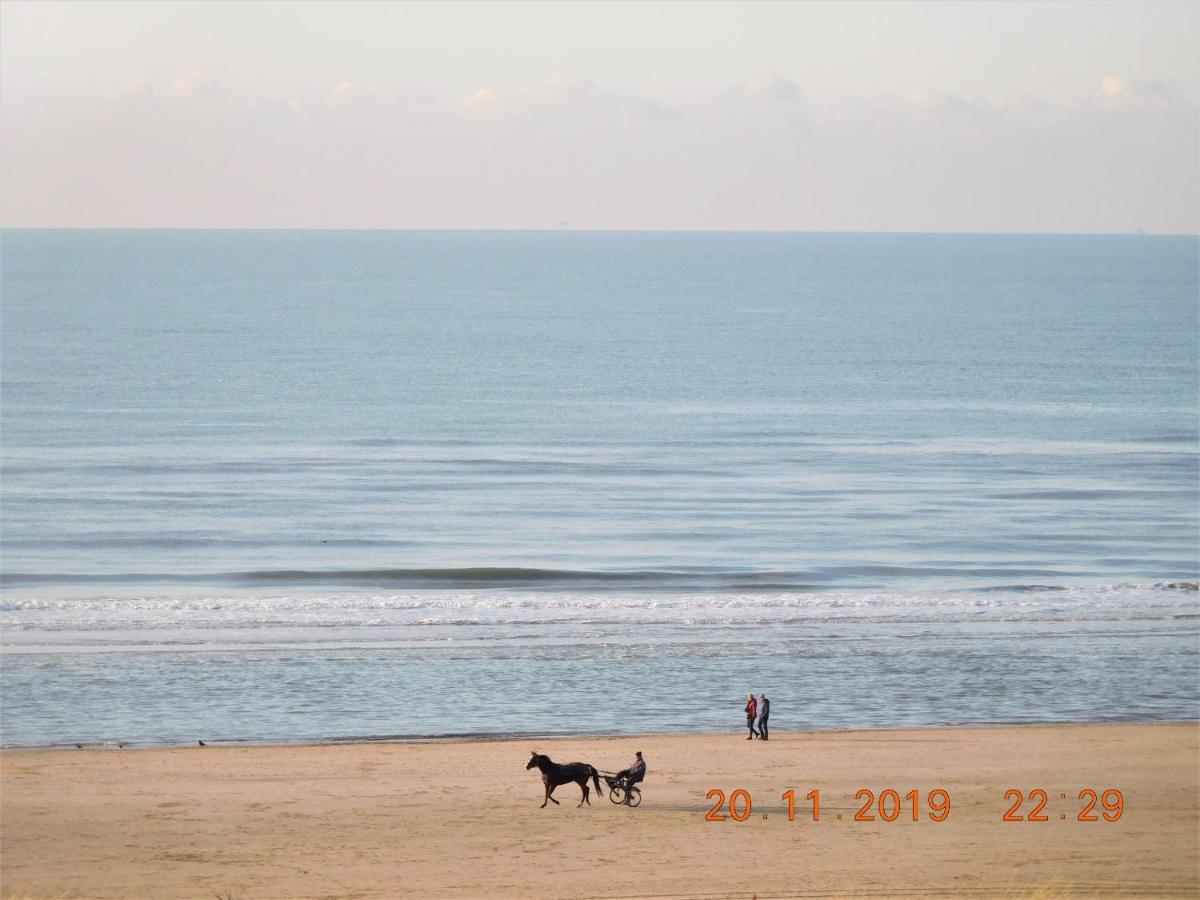 Strandhuis เอ็กมอนด์อานเซ ภายนอก รูปภาพ